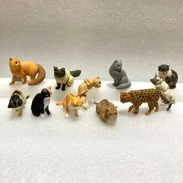 나르고 컬렉션 2003년 2004년 2005년 고양이 초기