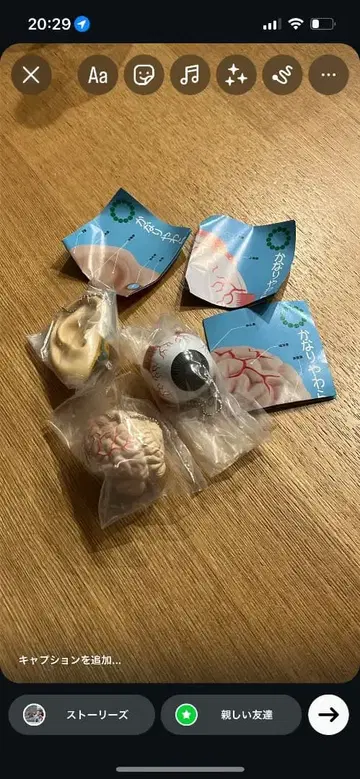 아주 부드러운 인체 해부 입체 도감