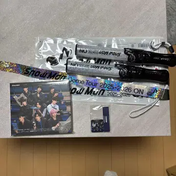 응원봉 Dome Tour 2025-2026 홀로그램