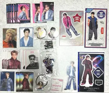 [ 낱개 판매 ] 세구치 레이야 묶음 판매