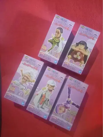 원피스 월드 컬렉터블 피규어 - 에그헤드 6 -