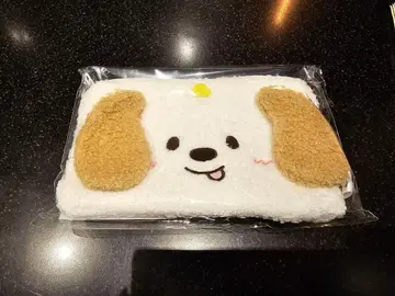 RIIZE 팝업 오카오 파우치 앤톤