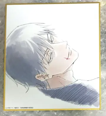 주술회전전 블랙 미니 색지 후시구로 토우지