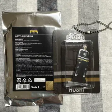 seventeen 호시 아크릴 키링 home