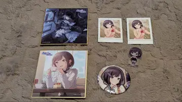 캐릭터 굿즈 세트 파샤코레 캔뱃지 아크릴 블록 색지