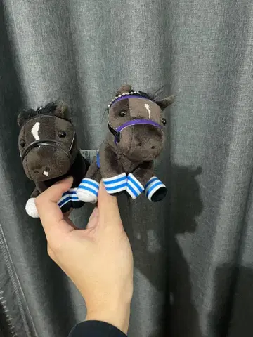 스타즈 온 어스 글로리 베이즈 아이돌 호스