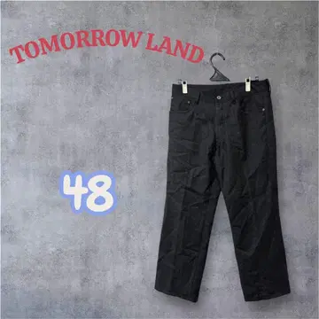 TOMORROWLAND 투모로우랜드 캐시미어 혼방 울 슬랙스 48