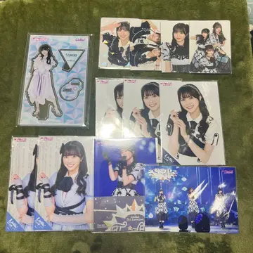 러브 라이브 Liella! 유이나 브로마이드 아크릴 스탠드 포토 카드