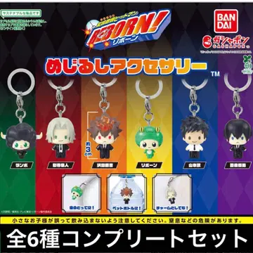 가정교사 히트맨 REBORN! 메지루시 액세서리 전 6종 컴플리트 세트