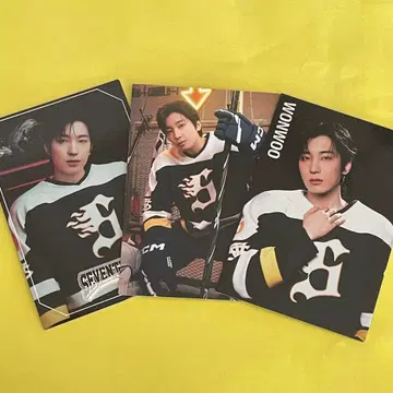 SEVENTEEN HOME 트레이딩 카드 원우