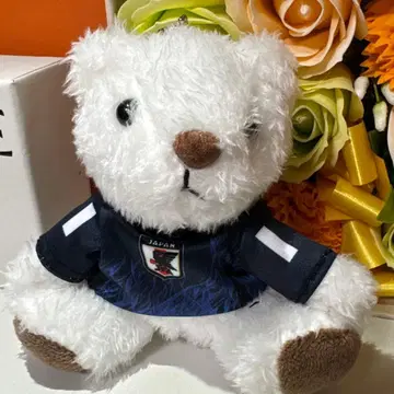 축구 일본 대표 곰