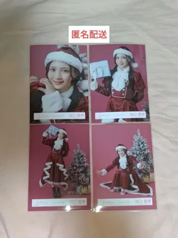 타니구치 아이리 2025 산타 브로마이드 4종 컴프