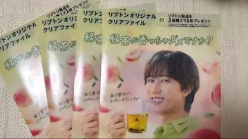 립톤 아베 료헤이 클리어 파일 4장 세트