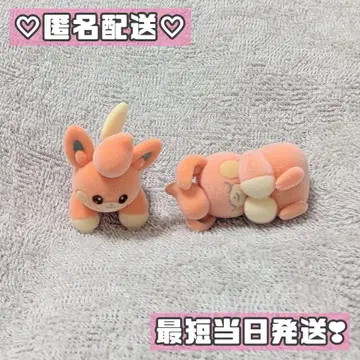 포켓몬 복슬복슬 인형 파모 묶음 판매