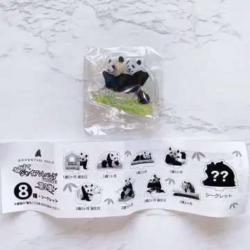 어드벤처 월드 자이언트 팬더 가챠 시크릿 후우힌 & 료우힌