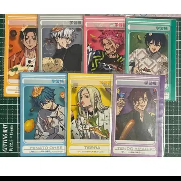 카리스마 폴라로이드