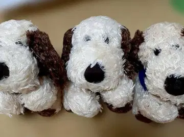 힐튼 봉제 인형 (개) 3개