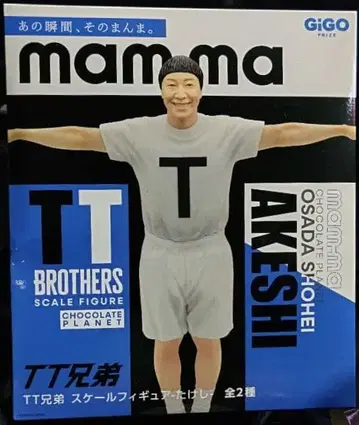 TT 형제 피규어 오가타 쇼헤이