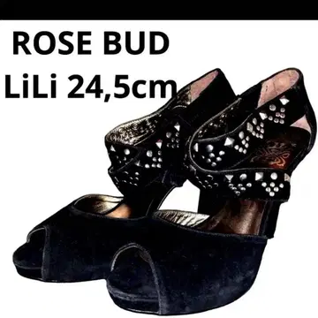 39 LiLi 로즈버드