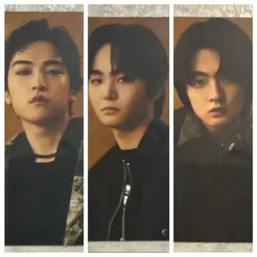 COMPLETE FILE STARGLO 트레이딩 카드 루이 타이키 카논