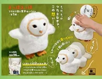 전해야 해! 엣 호엣 호 올빼미 움직이는 음성 봉제 인형
