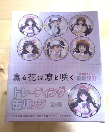 트레이딩 캔뱃지 BOX