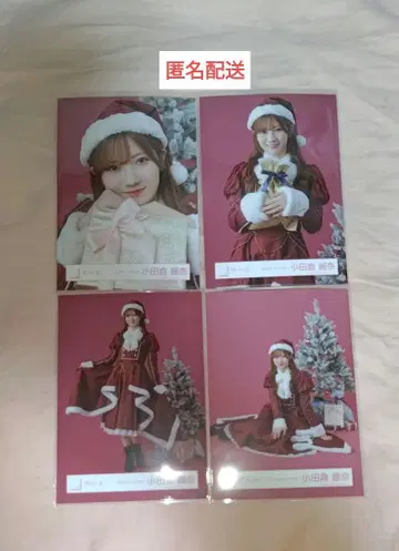 오다쿠라 레이나 2025 산타 브로마이드 4종 컴프