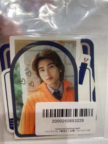 쇼지 코헤이 팬미팅 플레이크 씰 B 당일 발송