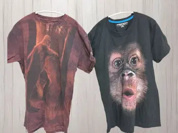 [레어] 더 마운틴 빅풋 T 셔츠 원숭이 디자인 T셔츠 세트