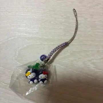 남알프스 한정판 지역 한정 키티 블루베리 버전