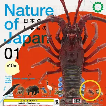 일본의 생물 01 이세에비 네이처 테크니컬러 가챠