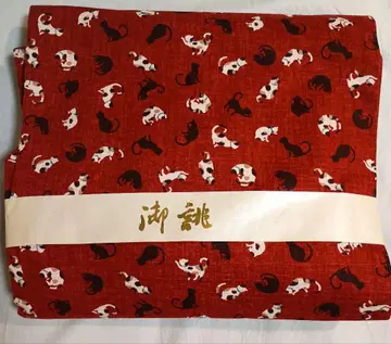 나고야 오비 고양이