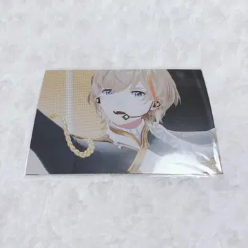 니지산지 페스티벌 2025 OVERTURE 브로마이드 후라 소토