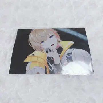 니지산지 페스티벌 2025 VOLTACTION 브로마이드 후라 카나토