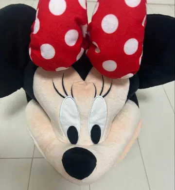 디즈니 미니 모자