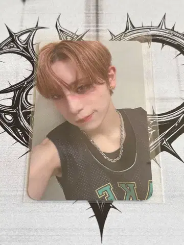 XLOV 하루 중국 한정판 트레이딩 카드