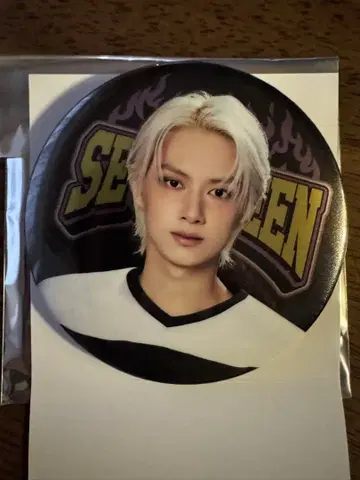 SEVENTEEN HOME 캔뱃지 준