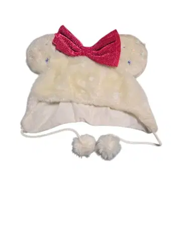 디즈니 팬 캡 25주년