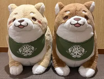 충견 모치시바 오토모다치 BIG 봉제 인형 팥, 키나코 세트