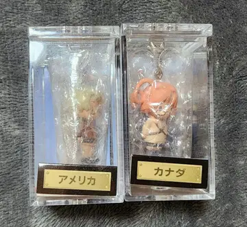 헤타리아 카라코레 시리즈 세트