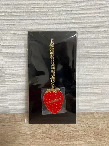 TravisJapan travelers FC반 굿즈 키링