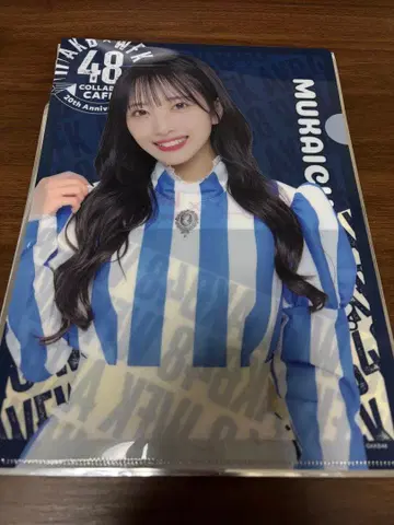 무카이치 미온 클리어 파일