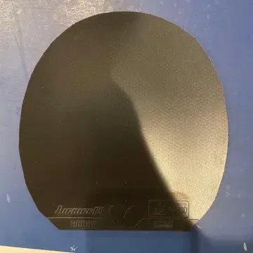 탁구 디그닉스64 특두께 블랙