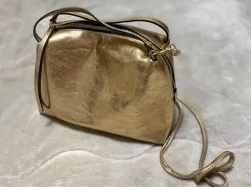 지아니카리니 알파 M 골드 사선 숄더백