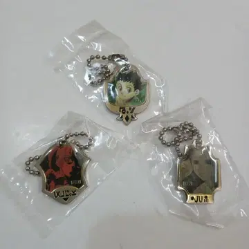 HUNTER x HUNTER 키볼 체인 키링