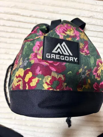 그레고리 틴치 백