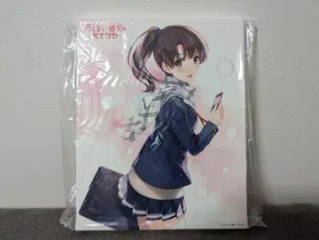 액시아 캔버스 아트 시리즈 No.040 카토 메구미 원작판 Part.3