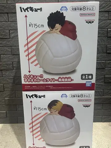 하이큐!! 룸 라이트 2종 세트