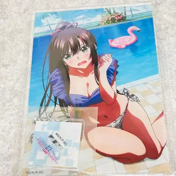 새상품 스트라이크 더 블러드 사야카 아크릴 스탠드