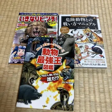 위험 동물과의 싸움 방법 매뉴얼